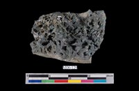 藏品(硫砷銅礦 )的圖片